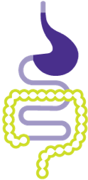 Hormone serotonin communicating with the gut to help with digestion